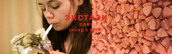 стаф Богданович