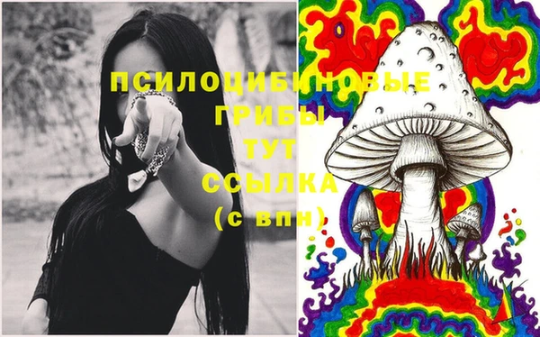 таблы Белокуриха