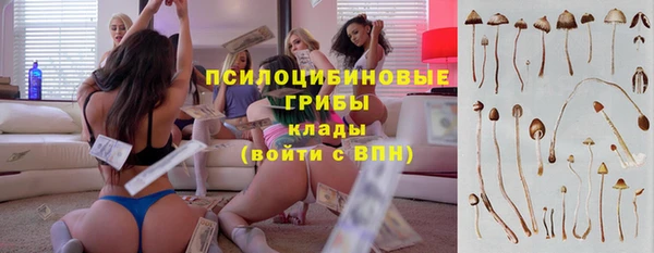гашиш Богородск