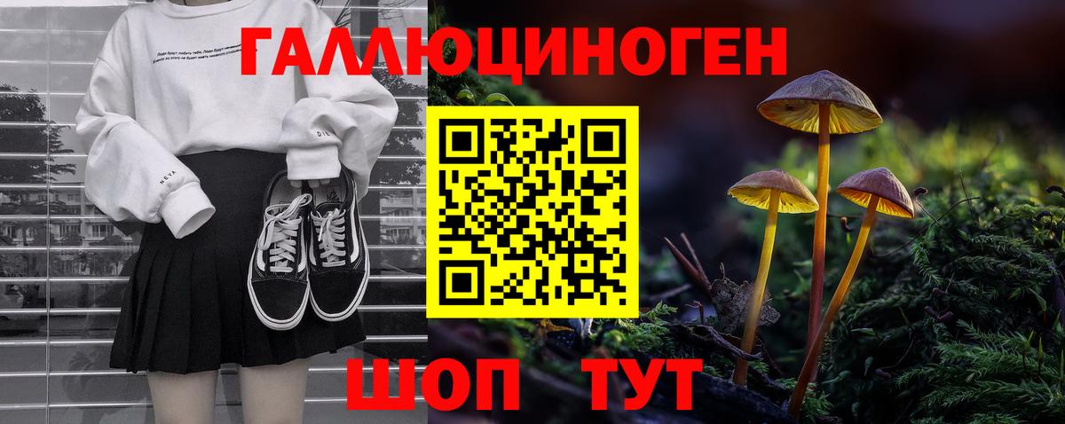 Псилоцибиновые грибы Magic Shrooms  Псилоцибиновые грибы мицелий  Дагестанские Огни  Вход с VPN 