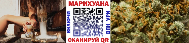 Каннабис ГИДРОПОН  Дагестанские Огни 