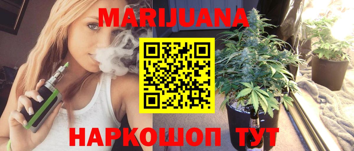 Канабис план Дагестанские Огни